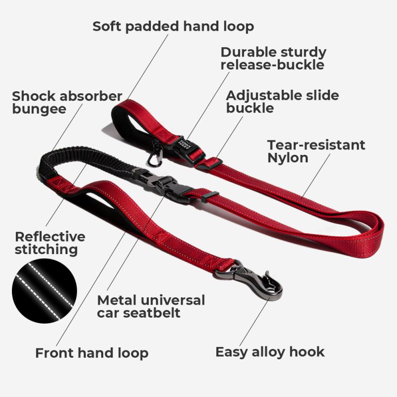 leash FunctionDescription