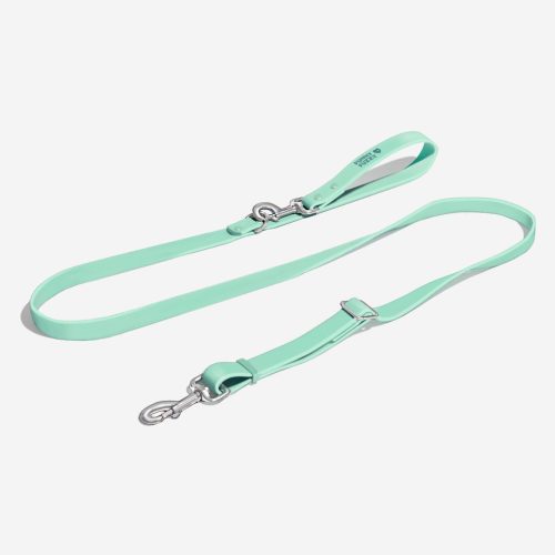 mintleash main 30a6a618 61d4 4dc7 a9b8 93d0ffa5f370